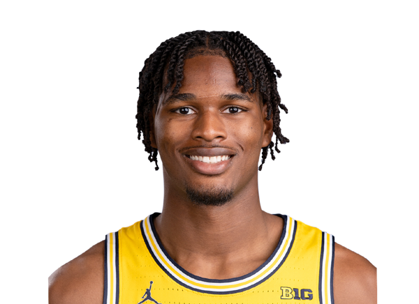 Morez Johnson Jr scouting report